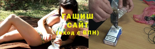 сатива Беломорск