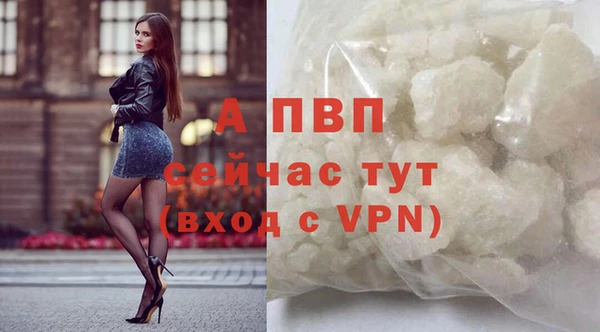 сатива Беломорск