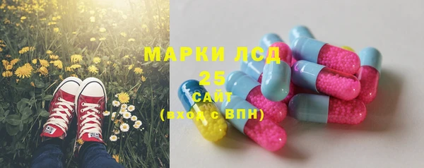 СК Белокуриха