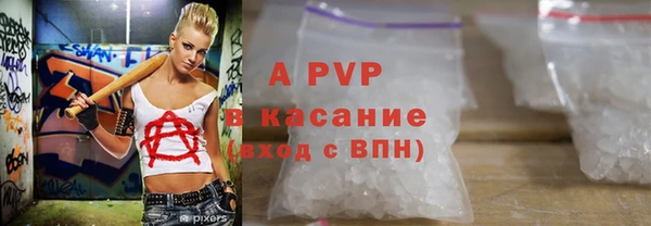 СК Белокуриха