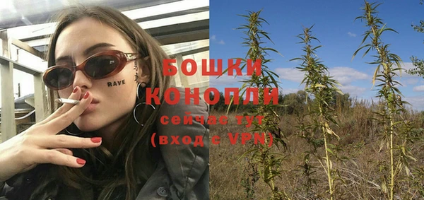 СК Белокуриха