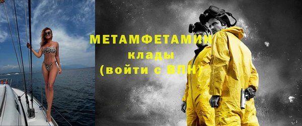 сатива Беломорск