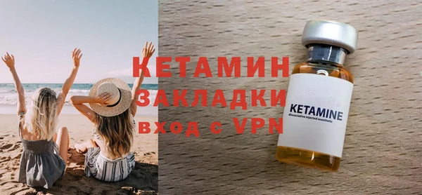 сатива Беломорск