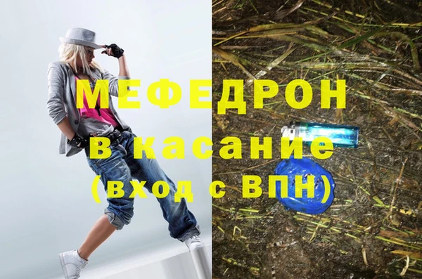 сатива Беломорск