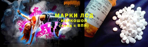 PSILOCYBIN Тында